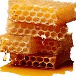 53ny35yn-qls2hoc00y8p4vguua3tbnzx0lsz1xp9q3cf6wwyn8